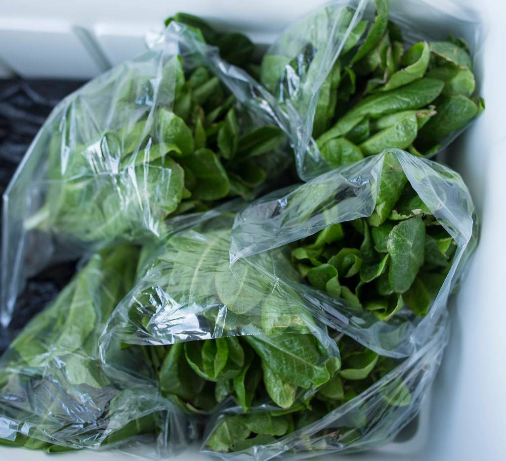 Locally grown baby romaine lettuce waits for customers in a cooler at the Salt & Soil Marketplace on Thursday, May 17, 2018. (Michael Penn | Juneau Empire)