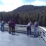 Ben and Diane Adams (center), after helping the author aboard, are awed by how close the ferry gets to the shore while traveling through Sergius Narrows. Tara Neilson | For the Capital City Weekly
