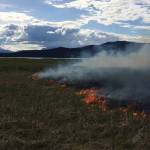 A fire burns on the grass at Antler Flats, in the northeast section of Berners Bay. (Photo courtesy U.S. Forest Service)