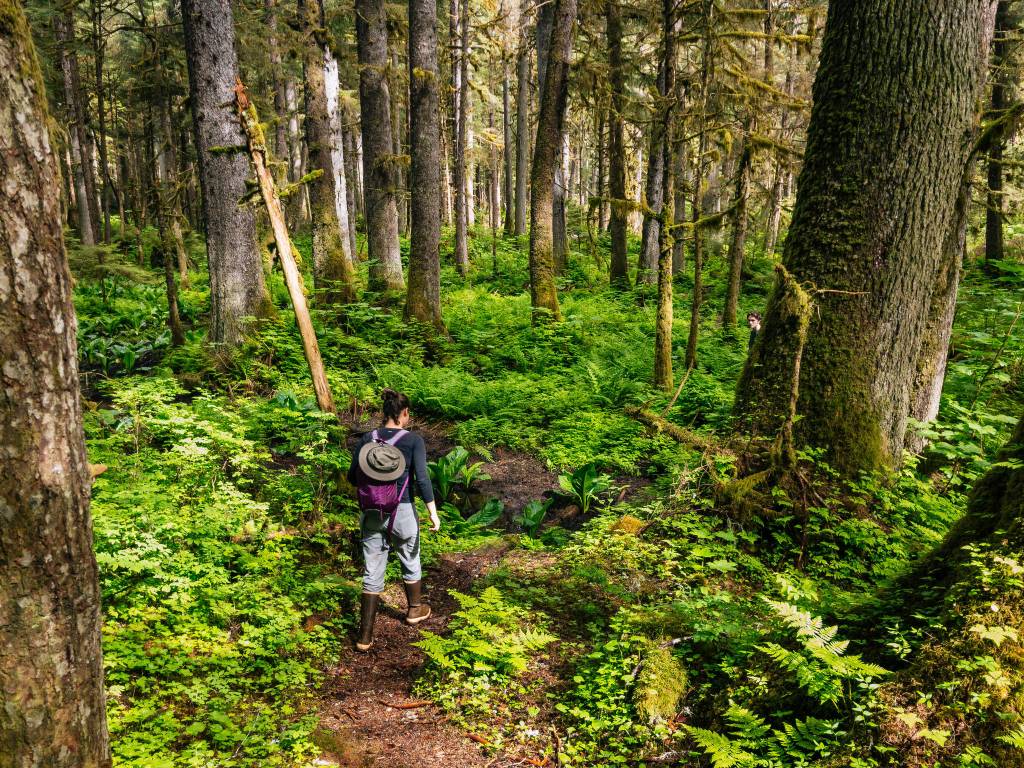 Claire crosses skunk cabbage patch on Fish Creek Trail. (Photo by Gabe Donohoe)