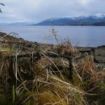 An abandoned crab pot in Tenakee Inlet in April. (Photo by Bjorn Dihle)
