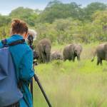 Kelly Bakos filming the orphaned elephants. Photo courtesy of Kelly Bakos.