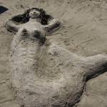 &ldquo;Mermaid by the Castlebuyers,&rdquo; by Caden Mesdag, Luke Dean, and Micah Brown. (Photo courtesy Zane Jones)