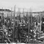 Fishing boats in a Sitka Harbor. Courtesy of The Sitka History Museum.