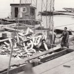 Courtesy of the Sitka History Museum Seine fishermen empty fish on a dock.