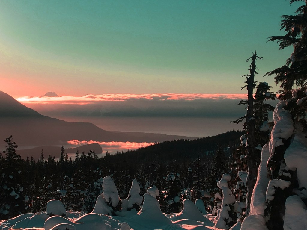 A Sitka black-tailed doe and one of her fawns in August. Photo by Jerry Reinwand