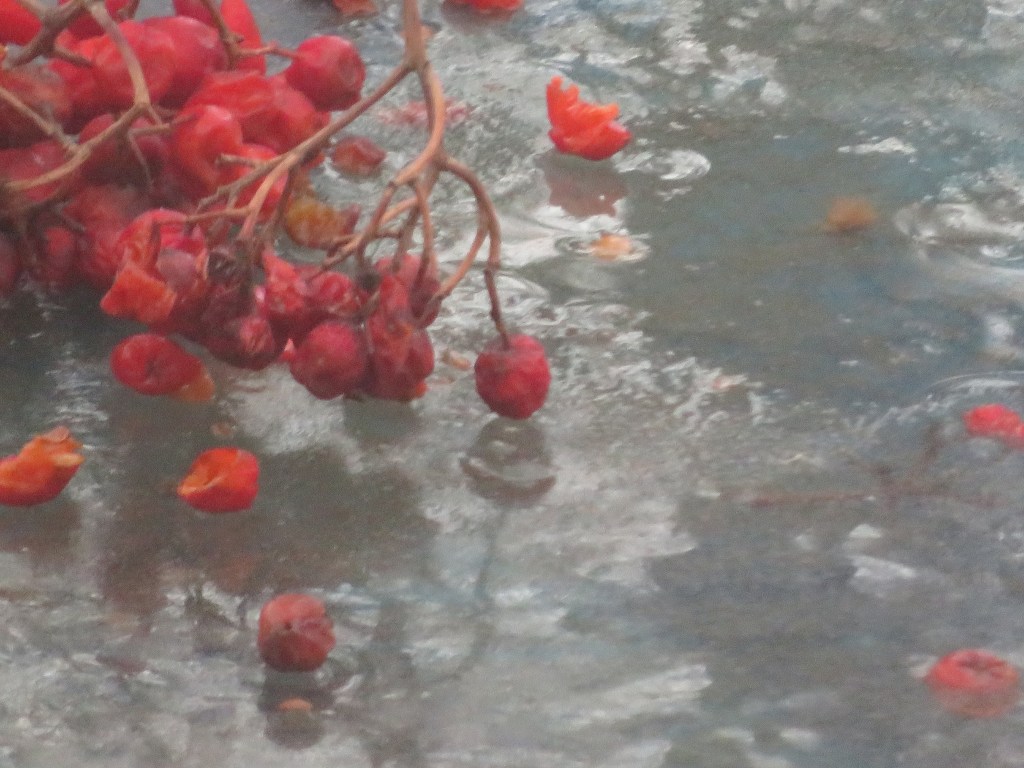 Art in Unusual Places