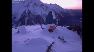 Experimental forest lecture