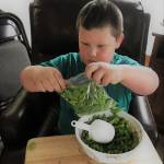 Jackson bags spruce tips. Vivian Faith Prescott | For the Capital City Weekly