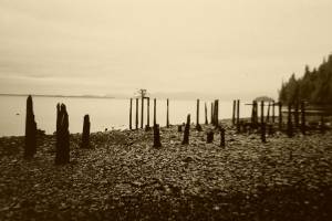 Alaska for Real: Lessons learned at the end of the world