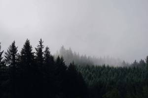 Alaska Native students learn about heritage through internship at Sequoyah National Research Center