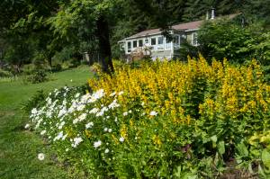 Flowers bloom at the Jensen-Olson Arboretum in July 2018. The Arboretum is closed until further notice due to excessive on-site bear activity. The closure is expected to last approximately two to three weeks. Visitor access will not be allowed during this time and no exceptions will be made. (Michael Penn | Juneau Empire)