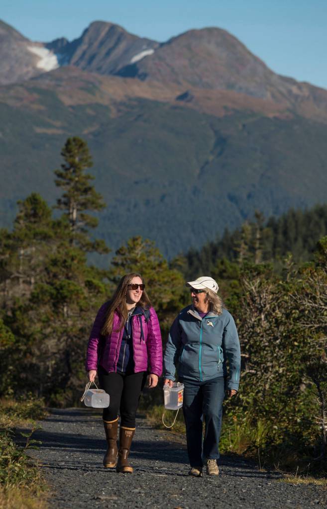 Erin Anais Heist, left, and her mother, Kate Troll, walk to pick high-bush cranberries on Douglas Island on Thursday, Sept. 20, 2018. (Michael Penn | Juneau Empire)