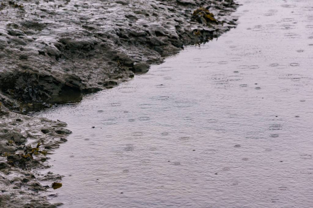 Rain drops as it hits the face of the muddy water. (Photo by Gabe Donohoe)