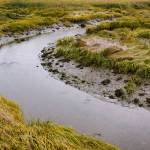A turn in the river feeding the wetlands. (Photo by Gabe Donohoe)