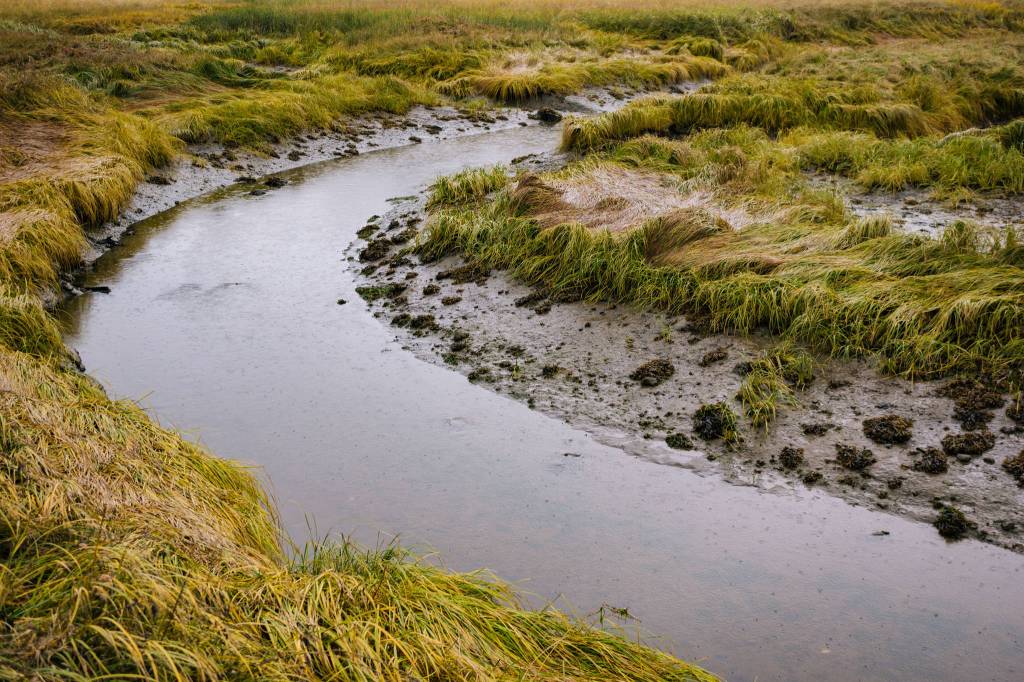 A turn in the river feeding the wetlands. (Photo by Gabe Donohoe)