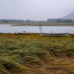 Photos: The patterns and textures of the Mendenhall wetlands