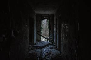 Opinion: A new way to live