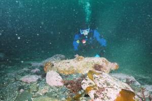 Brad Stevens searches through the wreckage of the Kadyak, a Russian ship that sank while hauling ice and came to a rest near Spruce Island. Stevens said hed like to go back to the site and make diving maps for recreational divers. (Courtesy Photo | Brad Stevens)