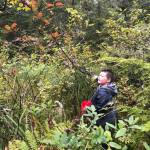 Prescotts grandson, Jonah, picks from a highbush. (Vivian Faith Prescott | For the Capital City Weekly)