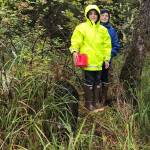 Prescotts grandsons don rain gear and hold a berry bucket during a day of picking. (Vivian Faith Prescott | For the Capital City Weekly)