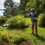 Merrill Jensen, Director & Horticulturist for the Jensen-Olson Arboretum, moves a watering hose on Wednesday, July 25, 2018. During dry spells Jensen has to move the watering hose every two to four hours around the clock. It takes four days to water the entire garden. (Michael Penn | Juneau Empire)