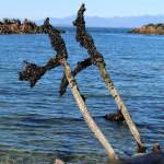 The low tide reveals why it took so long to tow the log home. (Tara Neilson | For the Capital City Weekly)