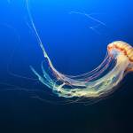 Unsplash.com stock image.