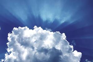 Living & Growing: Learning to Love Everyone