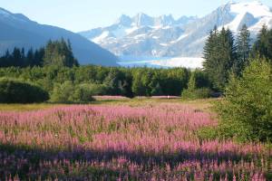 Mendenhall Glacier will see a few less visitors now that tourist season is over. (Vivian Mork Yéilk | For The Capital City Weekly)