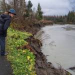 Sonia Nagorski, assistant professor of Geology Arts and Sciences at the University of Alaska Southeast, investigates erosion below the broken oxbow along the Mendenhall River on Wednesday, Oct. 17, 2018. The river cut through the meander bend just north of the Brotherhood Bridge this summer. (Michael Penn | Juneau Empire)