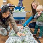Jennifer Nu, Local Foods Director at Southeast Alaska Watershed Coalition, left, takes inventory of fresh grown greens being delivered by Jackie Ebert, of Nunatak Foods, with her son Oliver, to the Salt & Soil Marketplace location at the Arts & Culture Center on Thursday, Oct. 18, 2018. The nonprofit Salt and Soil Marketplace is staying open this winter and will offer a new Valley location to pick up Southeast-grown foods. (Michael Penn | Juneau Empire)