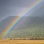 Best photos of week of Oct. 19