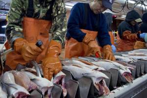 Opinion: Vote no on Ballot Measure 1