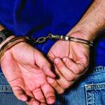 Police make flurry of warrant arrests at one house