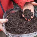 Lisa Daugherty, owner of Juneau Composts!, shows her finished, screened product on Wednesday, Oct. 24, 2018. Currently locationed out the road near mile 25, Daugherty is working to lease city land in the Lemon Creek area to expand her business. (Michael Penn | Juneau Empire)