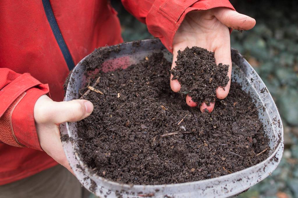 Lisa Daugherty, owner of Juneau Composts!, shows her finished, screened product on Wednesday, Oct. 24, 2018. Currently locationed out the road near mile 25, Daugherty is working to lease city land in the Lemon Creek area to expand her business. (Michael Penn | Juneau Empire)