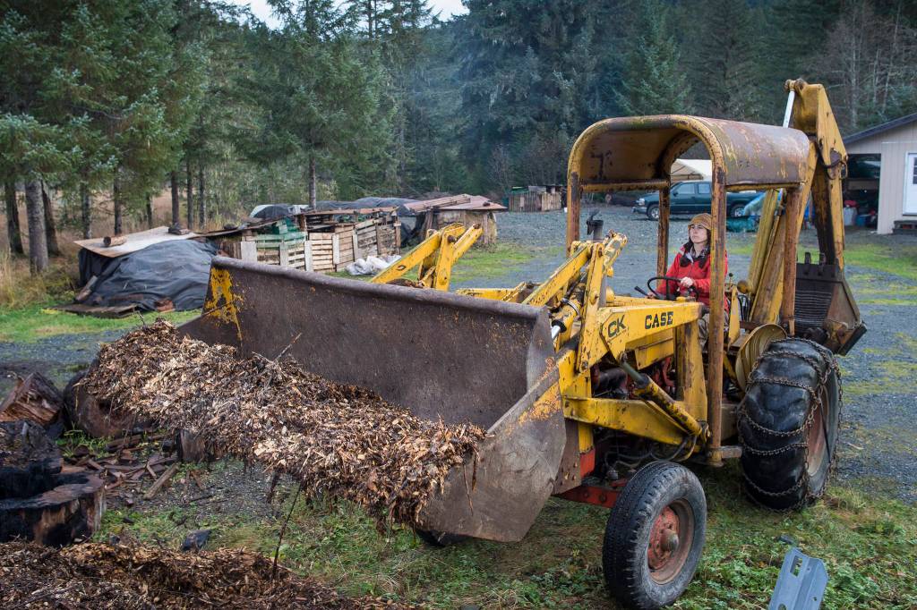 Lisa Daugherty, owner of Juneau Composts!, uses a front-end loader to move wood chips to used in her year-old business on Wednesday, Oct. 24, 2018. Currently locationed out the road near mile 25, Daugherty is working to lease city land in the Lemon Creek area to expand her business. (Michael Penn | Juneau Empire)