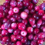 A measuring cup full of bog cranberries (Vaccinium oxycoccos) is seen in the kitchen of Erin Anais Heist on Oct. 14, 2018. (Erin Anais Heist | For the Juneau Empire)