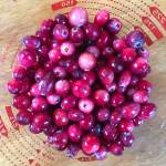 A measuring cup full of bog cranberries (Vaccinium oxycoccos) is seen in the kitchen of Erin Anais Heist on Oct. 14, 2018. (Erin Anais Heist | For the Juneau Empire)