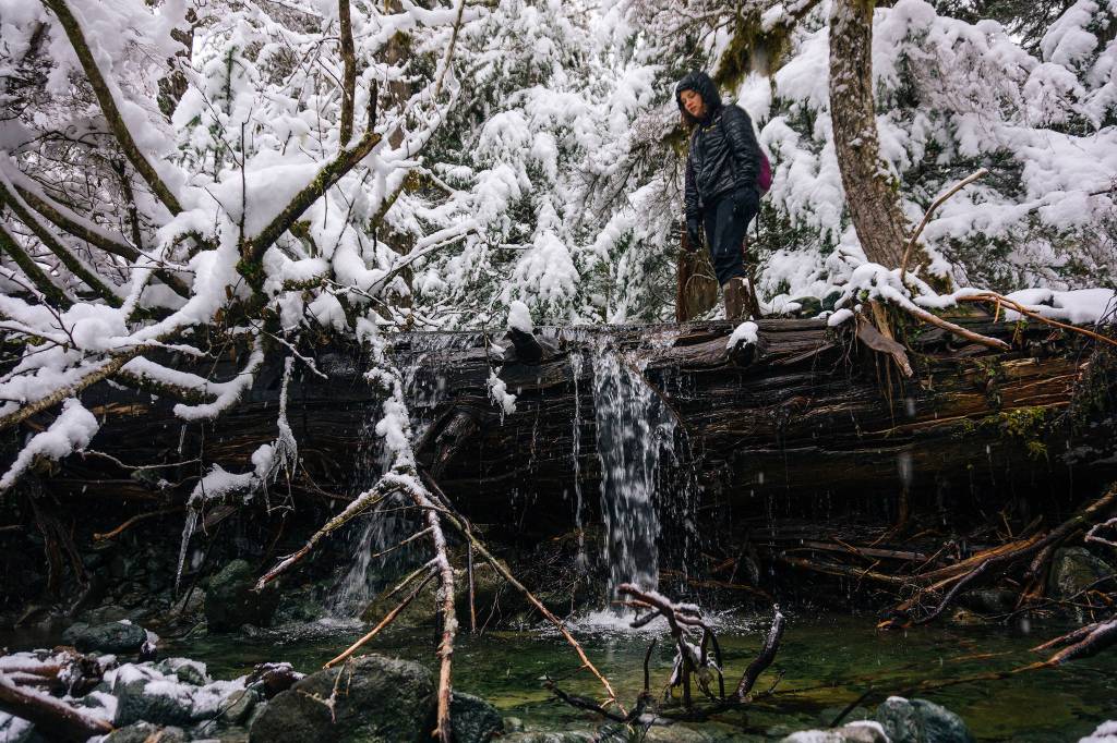 Claire Helgeson inspects stream waterfall over fallen log. (Gabe Donohoe | For the Juneau Empire)