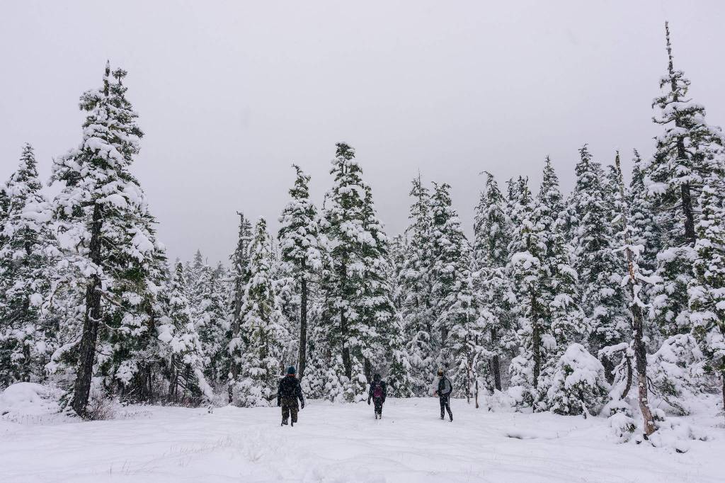Headed back after freezing our feet off in the woods on the first snowy weekend of this season. (Gabe Donohoe | For the Juneau Empire)