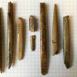 Artifact collections from Helge Larsens 1949-50 excavations housed at the Danish National Museum in Copenhagen. These antler weapon tips are the oldest artifacts from the site, dating to roughly 9,000 to 10,000 years ago and coincident with period of occupation that resulted in deposition of the tooth. (Courtesy Photo | Jeff Rasic/NPS)