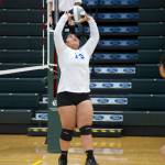 Thunder Mountain High School senior Marissa Tanuvasa-Tuaifale sets the ball against West Valley at the ASAA/First National Bank Alaska 3A/4A Volleyball State Championships on Friday at the Alaska Airlines Center in Anchorage. The Falcons won 3-1 (26-24, 19-25, 25-18, 25-23). (Nolin Ainsworth | Juneau Empire)