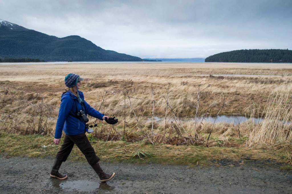 Laurie Lamm takes an exercise break on her lunch hour along the Airport Dike Trail on Thursday, Nov. 8, 2018. (Michael Penn | Juneau Empire)