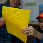 Jill Sullivan, left, and Mackenzie Lam look at a shotgun target inside the clubhouse at the Juneau Gun Club during the Thanksgiving Turkey Shoot. Over 100 participants came out for the event despite rainy conditions. Juneaus a hardy bunch, so they came out, Juneau Gun Clubs Mark Kappler said. (Nolin Ainsworth | Juneau Empire)