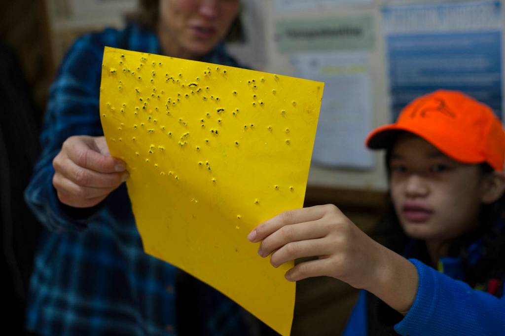 Jill Sullivan, left, and Mackenzie Lam look at a shotgun target inside the clubhouse at the Juneau Gun Club during the Thanksgiving Turkey Shoot. Over 100 participants came out for the event despite rainy conditions. Juneaus a hardy bunch, so they came out, Juneau Gun Clubs Mark Kappler said. (Nolin Ainsworth | Juneau Empire)