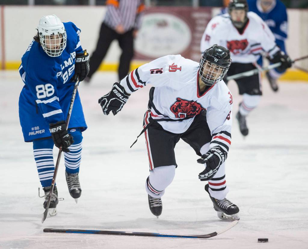 Juneau-Douglas Ronan Lynch is stripped of his stick against Palmers Darian Wilson on Friday, Nov. 16, 2018. (Michael Penn | Juneau Empire