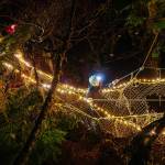 Claire crosses net bridge from land to tree. (Gabe Donohoe | For the Juneau Empire)
