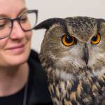Sidney Campbell holds a Eurasian eagle-owl named Hans from the American Bald Eagle Foundation of Haines at the Public Market in Centennial Hall on Friday, Nov. 23, 2018. (Michael Penn | Juneau Empire)